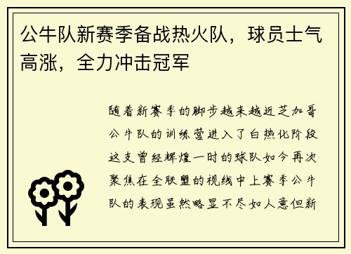 公牛队新赛季备战热火队，球员士气高涨，全力冲击冠军