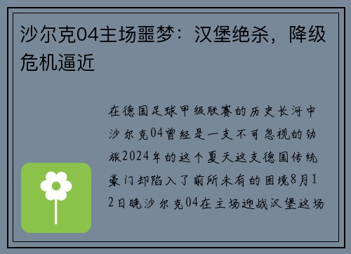 沙尔克04主场噩梦：汉堡绝杀，降级危机逼近
