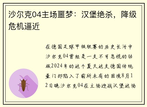 沙尔克04主场噩梦：汉堡绝杀，降级危机逼近
