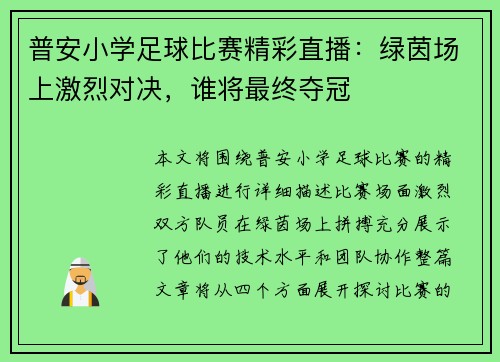 普安小学足球比赛精彩直播：绿茵场上激烈对决，谁将最终夺冠